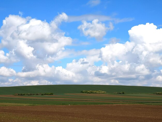 Vue panoramique du champ contre le ciel