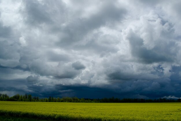 Vue panoramique du champ contre le ciel