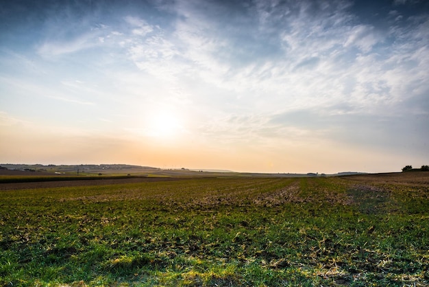 Vue panoramique du champ contre le ciel