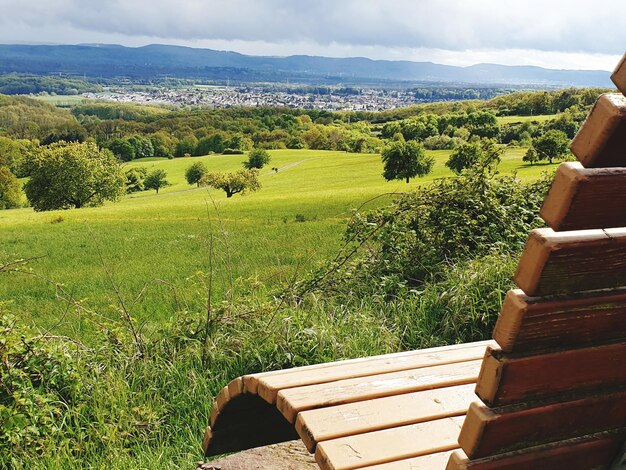 Vue panoramique du champ contre le ciel