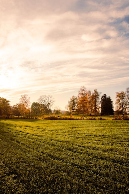 Vue panoramique du champ contre le ciel