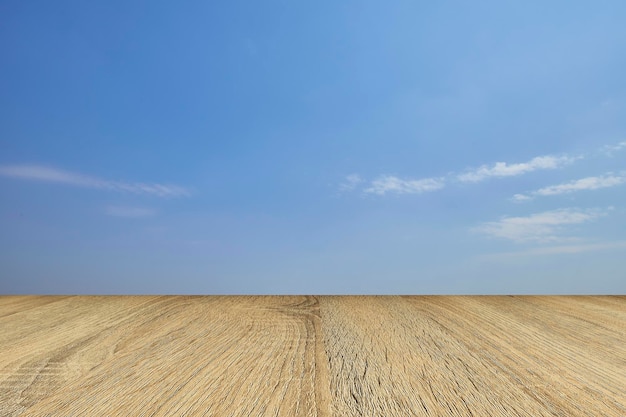 Vue panoramique du champ contre le ciel