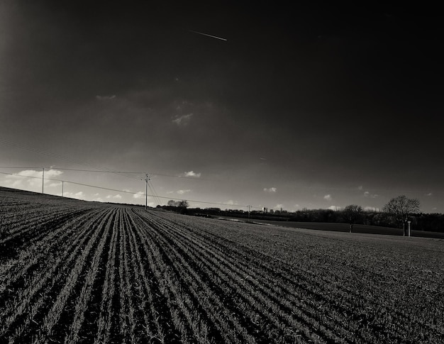 Vue panoramique du champ contre le ciel