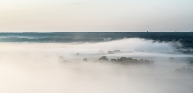 Vue panoramique du champ obscurci par un brouillard dense