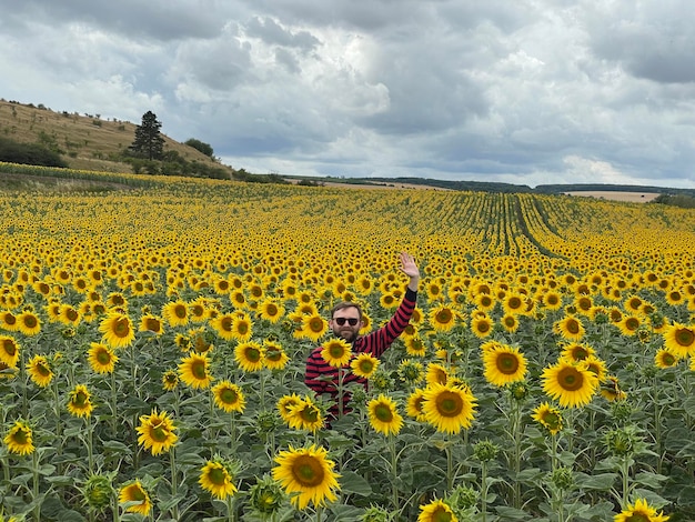 Vue panoramique du champ de tournesol contre le ciel