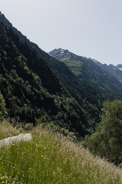 Vue panoramique du ciel de la forêt de la vallée des montagnes avec des nuages Paysage