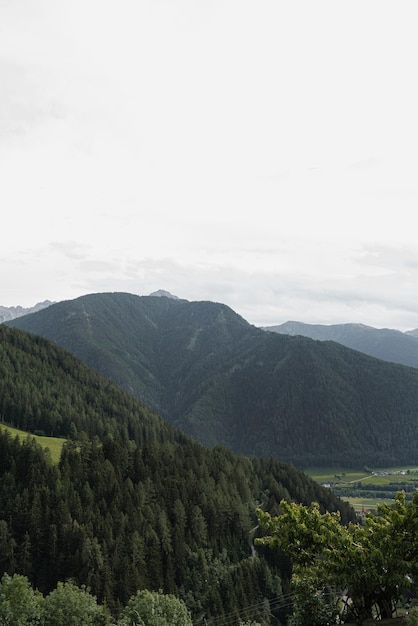 Vue panoramique du ciel de la forêt de la vallée des montagnes avec des nuages Paysage