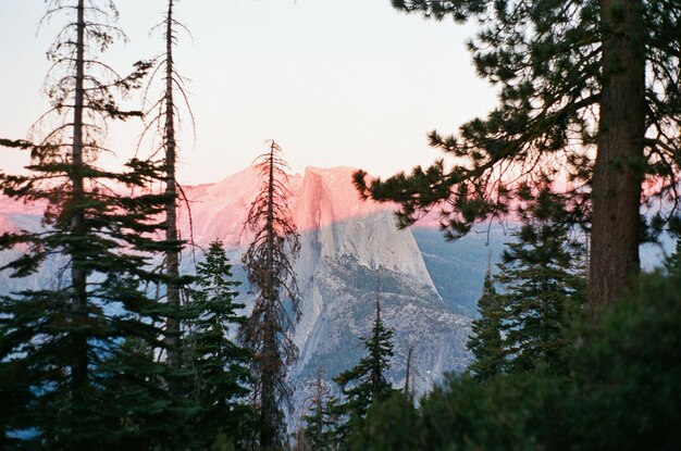 Photo vue panoramique du demi-dôme et des pins contre le ciel au coucher du soleil dans le parc national de yosemite.