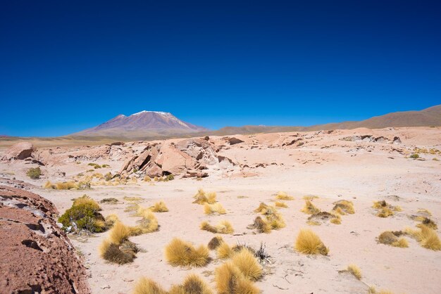 Vue panoramique du désert sur un ciel bleu clair
