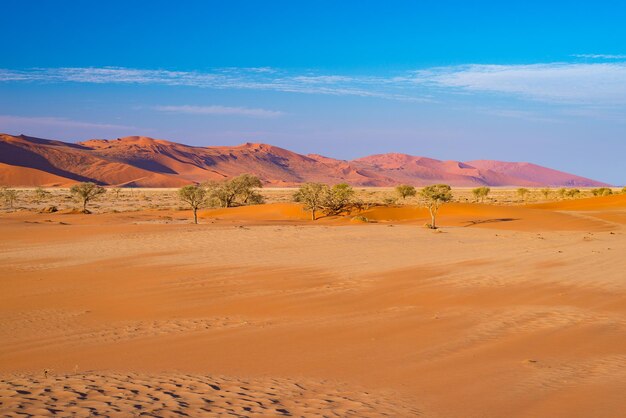 Vue panoramique du désert contre le ciel