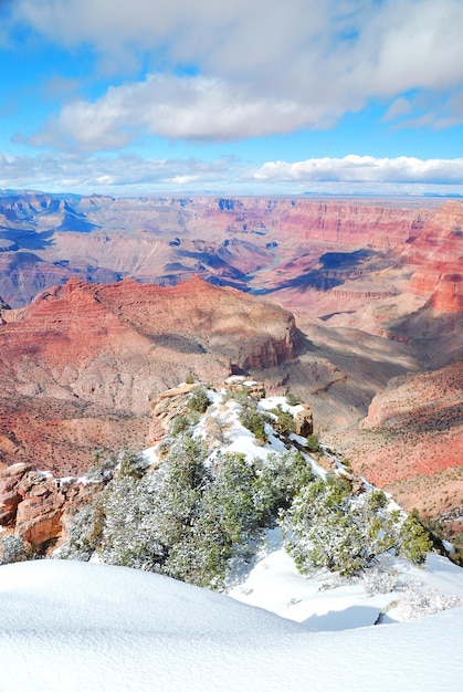 Vue panoramique du Grand Canyon en hiver avec de la neige