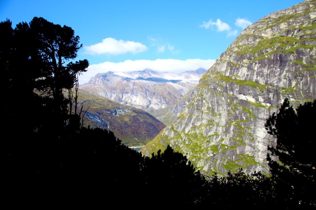 Vue panoramique du haut d'une montagne pleine de végétation verte tourisme écologique