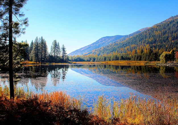 Vue panoramique du lac et des arbres sur un ciel dégagé