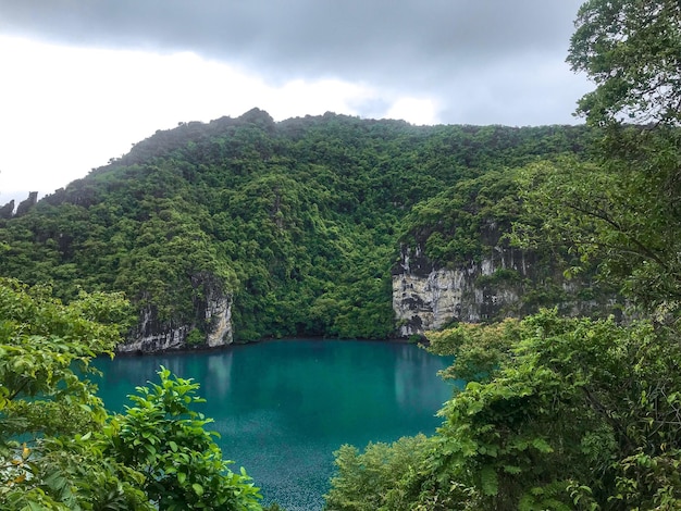 Vue panoramique du lac et des arbres contre le ciel