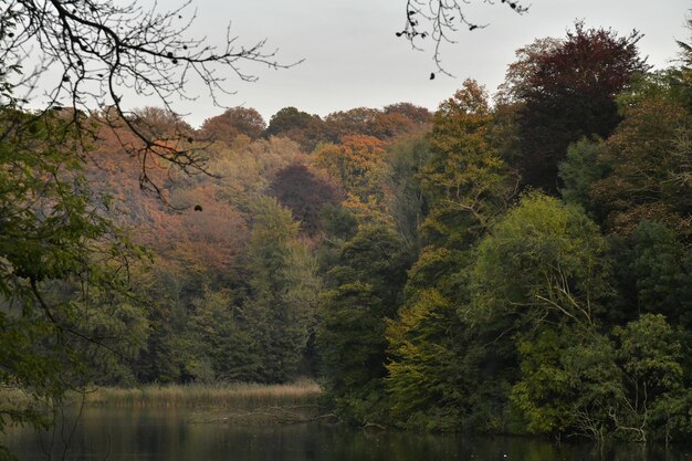 Photo vue panoramique du lac au milieu des arbres dans la forêt contre le ciel