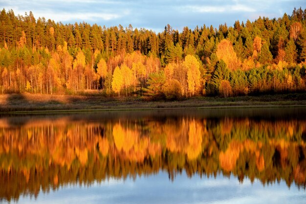 Photo vue panoramique du lac à l'automne