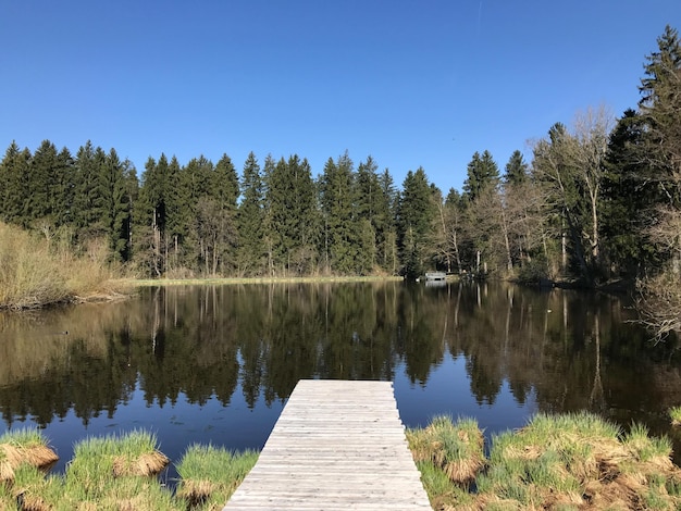Vue panoramique du lac sur un ciel bleu clair