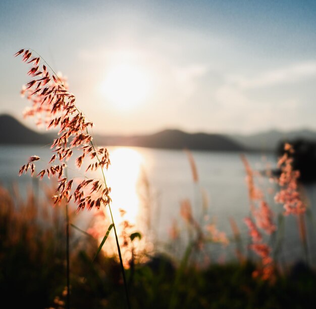 Photo vue panoramique du lac contre le ciel au coucher du soleil