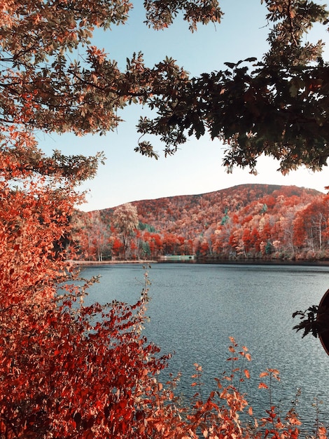 Photo vue panoramique du lac contre le ciel en automne