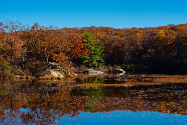 Vue panoramique du lac contre un ciel clair à l'automne