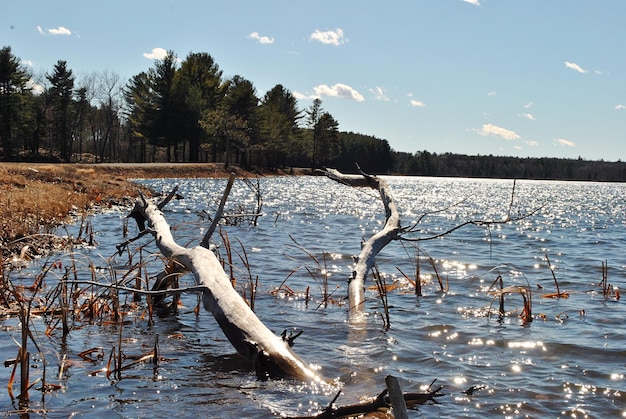 Vue panoramique du lac contre le ciel