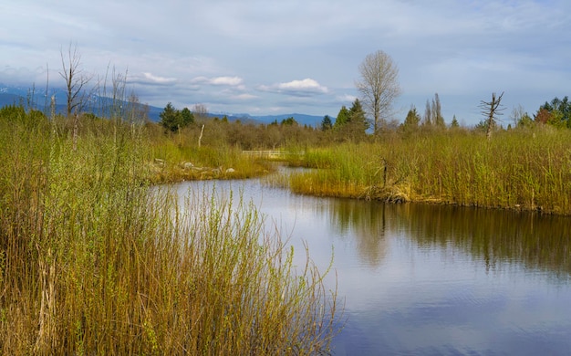 Vue panoramique du lac contre le ciel