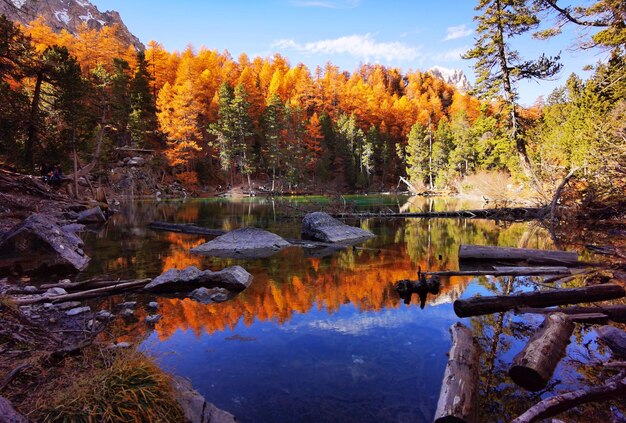 Photo vue panoramique du lac dans la forêt en automne