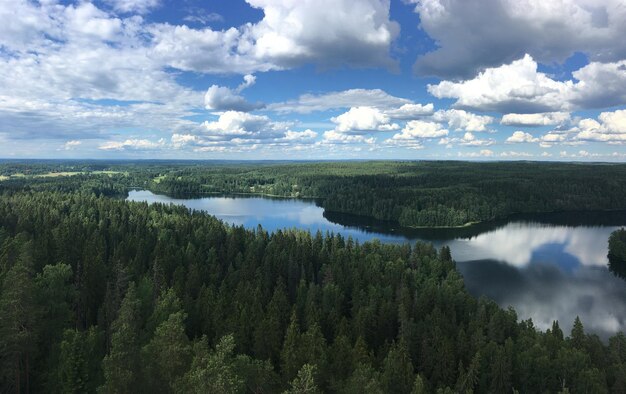 Vue panoramique du lac dans la forêt contre le ciel