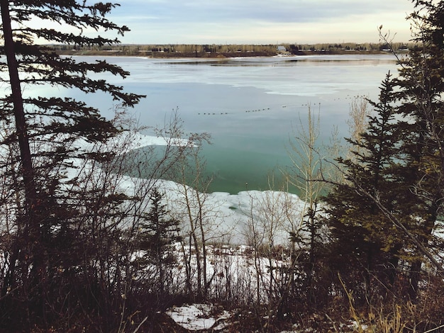 Photo vue panoramique du lac dans la forêt contre le ciel