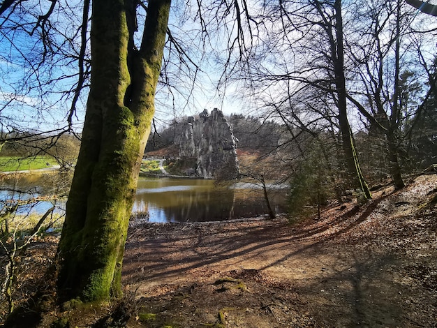 Photo vue panoramique du lac dans la forêt contre le ciel