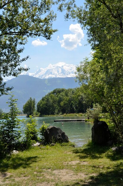 Photo vue panoramique du lac dans la forêt