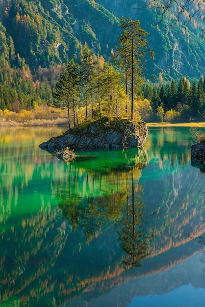 Vue panoramique du lac dans la forêt