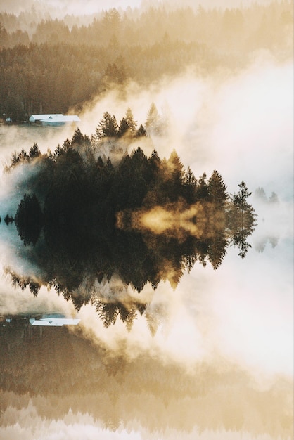 Vue panoramique du lac sur le fond de la forêt au coucher du soleil