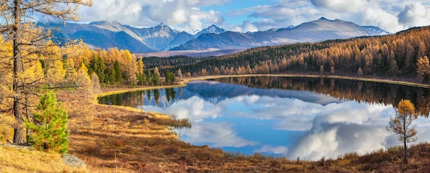 Vue panoramique du lac forestier de l'Altai en Sibérie un jour d'automne lumineux ciel de taïga et réflexion dans l'eau