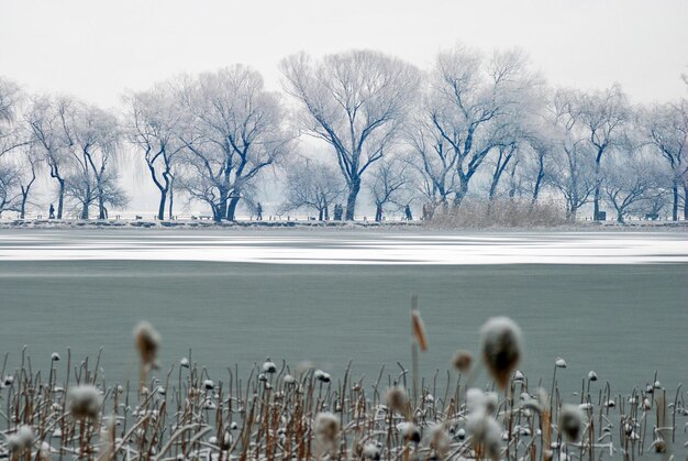 Photo vue panoramique du lac gelé contre le ciel en hiver