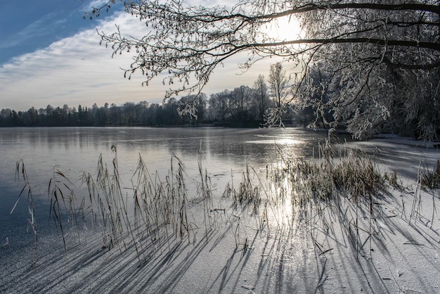 Photo vue panoramique du lac gelé en hiver