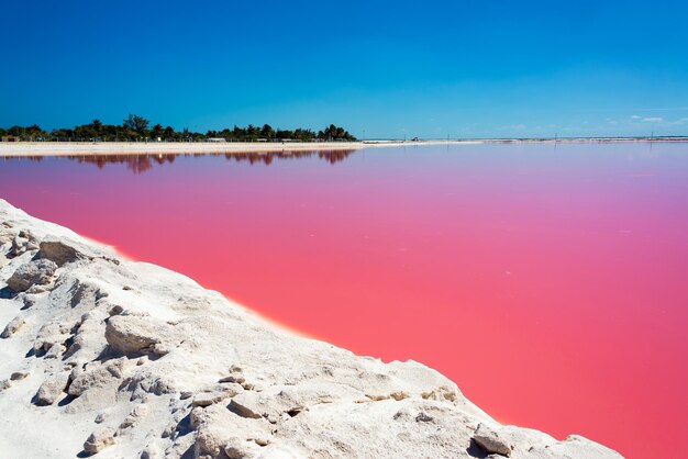 Photo vue panoramique du lac las coloradas sur un ciel bleu clair à rio lagartos par une journée ensoleillée