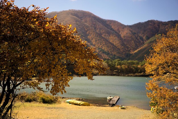 Photo vue panoramique du lac par les arbres en automne