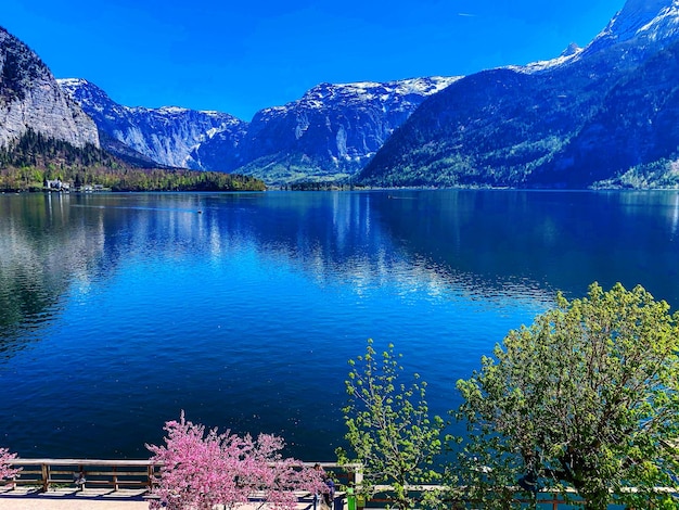 Photo vue panoramique du lac par les arbres contre le ciel bleu