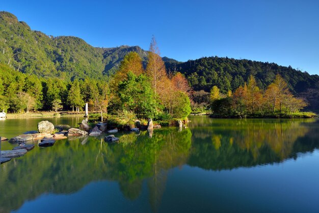 Vue panoramique du lac par les arbres contre un ciel clair