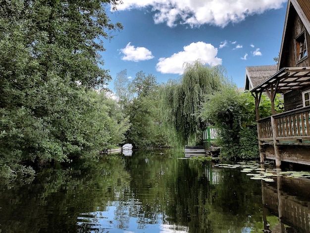 Vue panoramique du lac par les arbres contre le ciel