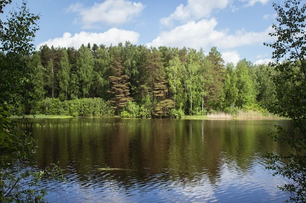 Vue panoramique du lac par les arbres contre le ciel