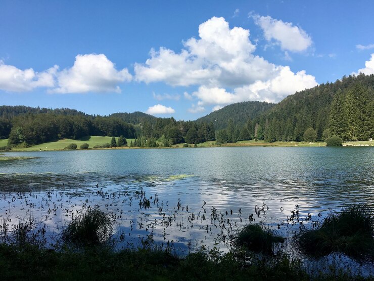 Photo vue panoramique du lac par les arbres contre le ciel