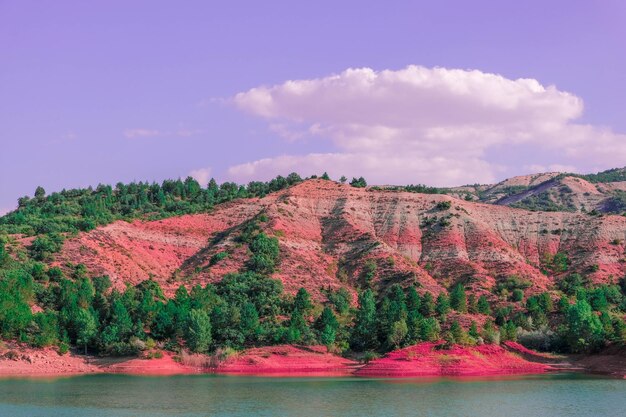 Vue panoramique du lac par les arbres contre le ciel