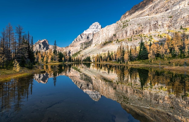 Vue panoramique du lac par les arbres contre le ciel