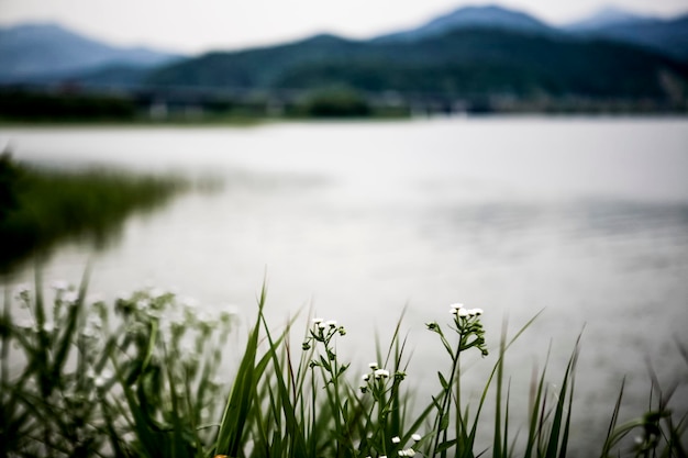 Photo vue panoramique du lac