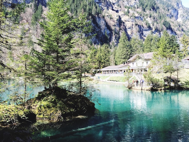 Vue panoramique du lac