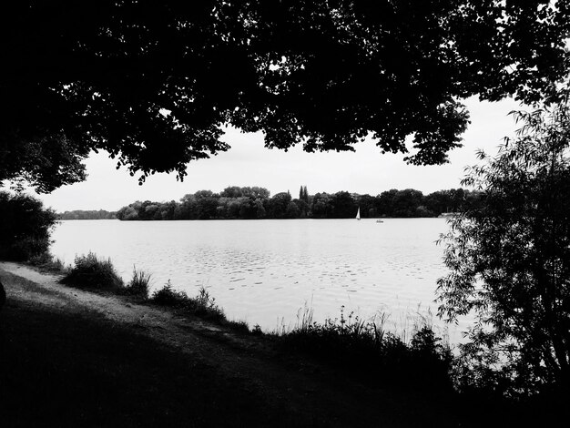 Vue panoramique du lac