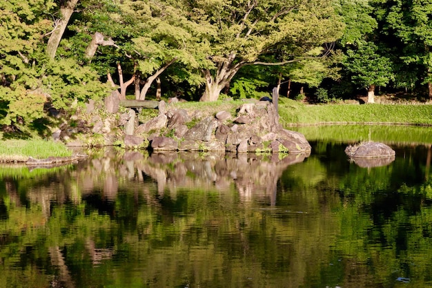 Vue panoramique du lac