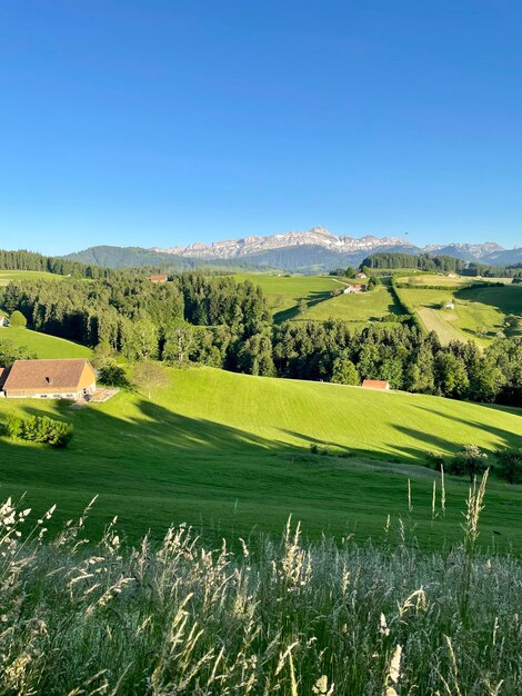 Photo vue panoramique du paysage sur un ciel dégagé